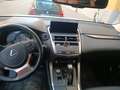 Lexus NX 300h NX 300h Executive Line Aut. Executive Line Blanc - thumbnail 3