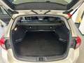 Subaru Levorg Levorg  1.6 dit Sport Unlimited lineartronic Weiß - thumbnail 25