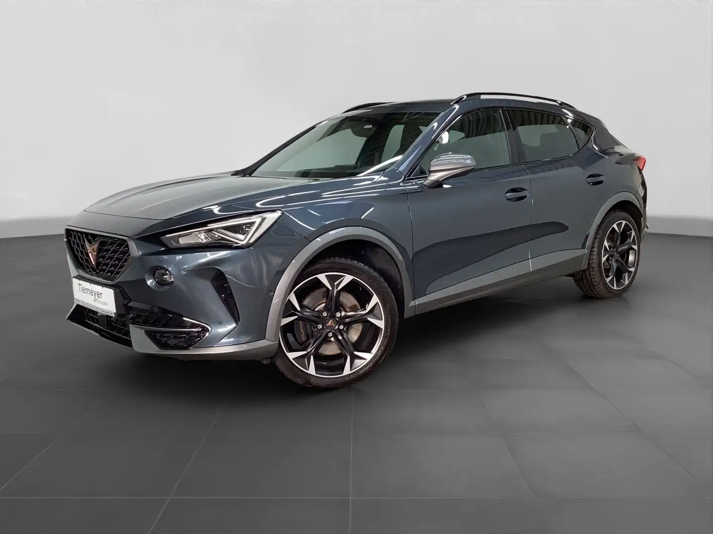 CUPRA Formentor VZ 2.0 TSI LM19 BEATS FULL-LINK KAMERA Gris - 2