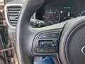 Kia Sportage Spirit 2.0 CRDi 2.2 T Anhängelast Beige - thumbnail 23