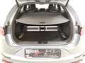 Kia ProCeed / pro_cee'd 1.6 T-GDI DCT GT FACELIFT Komf.|Navi|Sound|RFK|4xS Silber - thumbnail 25