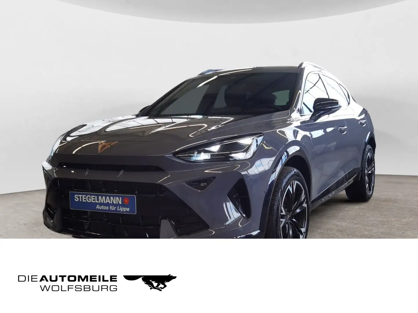 CUPRA Formentor 2.0 TDI DSG AHK Sennheiser Top View Ka Grau - 1