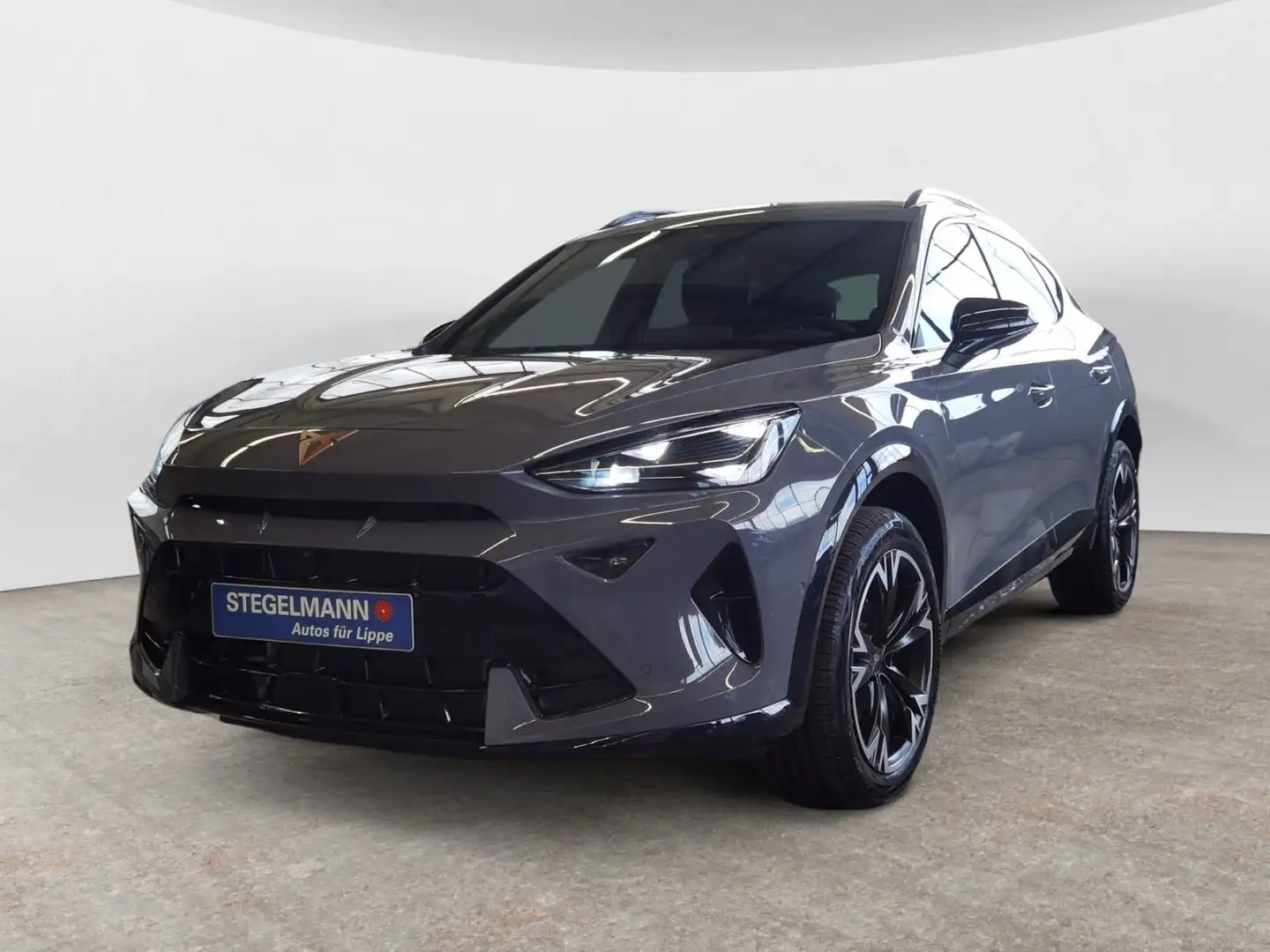 CUPRA Formentor 2.0 TDI DSG AHK Sennheiser Top View Ka Grau - 2