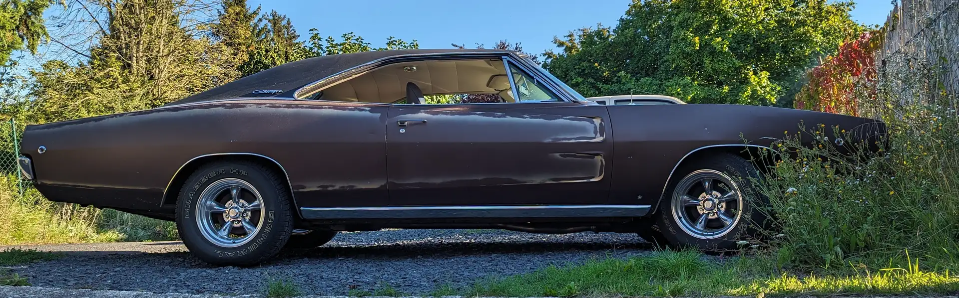 Dodge Charger Brown - 1