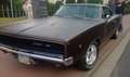 Dodge Charger Brown - thumbnail 3