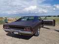 Dodge Charger Brown - thumbnail 6