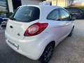 Ford Ka/Ka+ Ka 1.2 8V 69 CV Individual Blanco - thumbnail 7