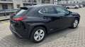 Lexus UX 250h hybrid Executive ibrida Disp. anche nera Argento - thumbnail 9