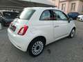 Fiat 500 1.2 Lounge Weiß - thumbnail 7