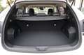 Subaru Crosstrek Platinum neues Modelljahr sofort Wit - thumbnail 21