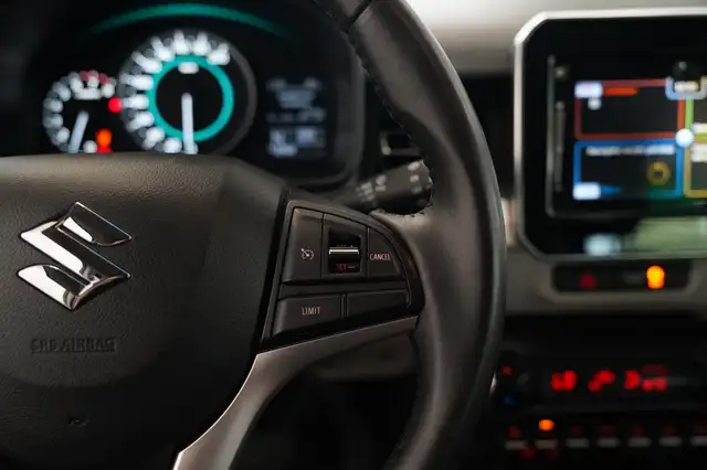 Suzuki Ignis view 9