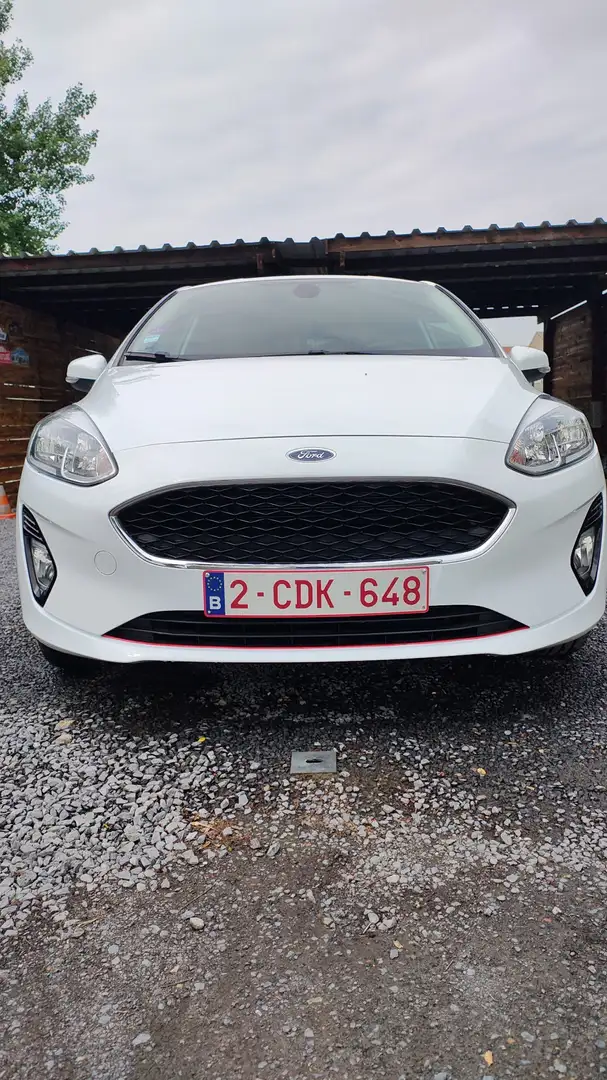 Ford Fiesta Van - 2