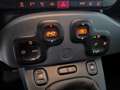 Fiat Panda 1.0 hybrid City Cross s&s 70cv - thumbnail 14