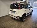 Fiat Panda 1.0 hybrid City Cross s&s 70cv - thumbnail 4
