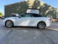 Audi A5 A5 2.0 TFSI MHEV D..PL+ Wit - thumbnail 7