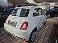 Fiat 500 500 1.0 hybrid Cult 70cv Bianco - thumbnail 4