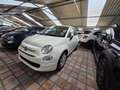 Fiat 500 500 1.0 hybrid Cult 70cv Bianco - thumbnail 2