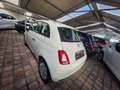 Fiat 500 500 1.0 hybrid Cult 70cv Bianco - thumbnail 3