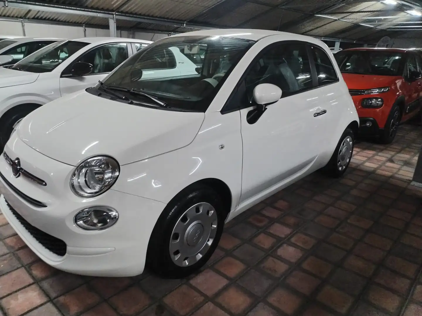 Fiat 500 500 1.0 hybrid Cult 70cv Bianco - 2
