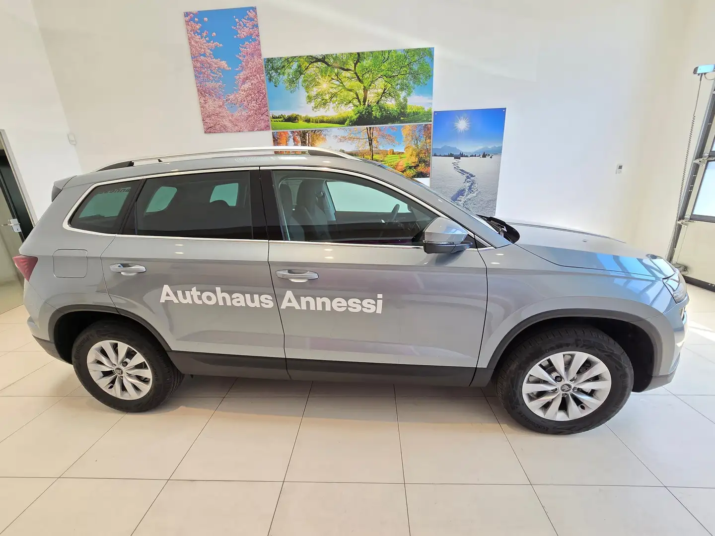Skoda Karoq Selection Silber - 2
