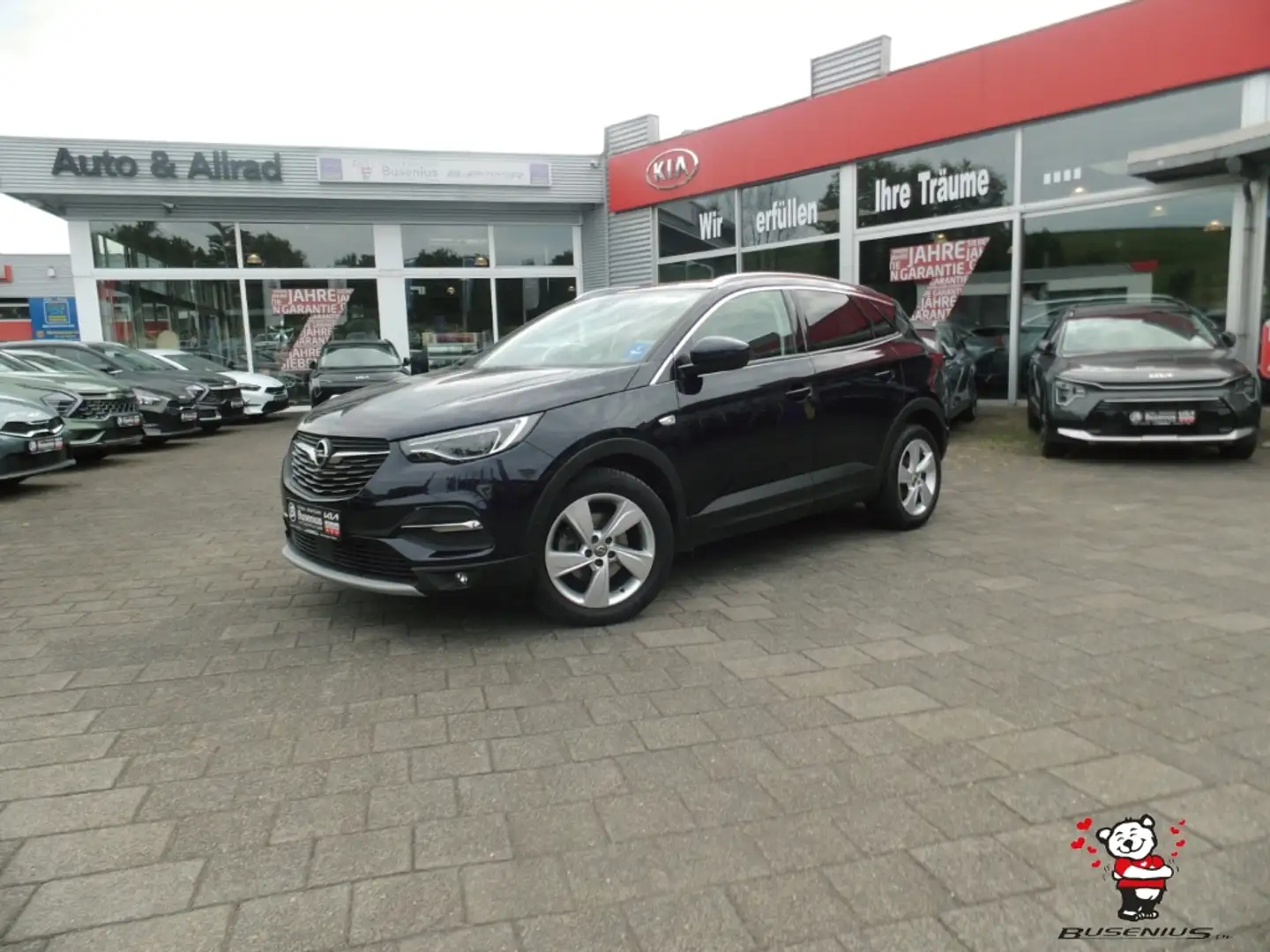 Opel Grandland X 1.2 T Business Innovation+Premium+Tech+DAB Paars - 2
