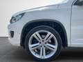Volkswagen Tiguan BMT 4Motion/RLINE/NAV/KAMER/PANORAMA/BIXE Blanc - thumbnail 6