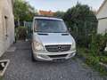 Mercedes-Benz Sprinter 316 NGT 906.633 L2 H1, Klima, Aut. CNG, Dachträger Silber - thumbnail 4