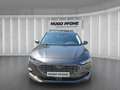 Ford Focus Vignale Titan Turnier 1.0 EB MHEV Autom LED Grey - thumbnail 6
