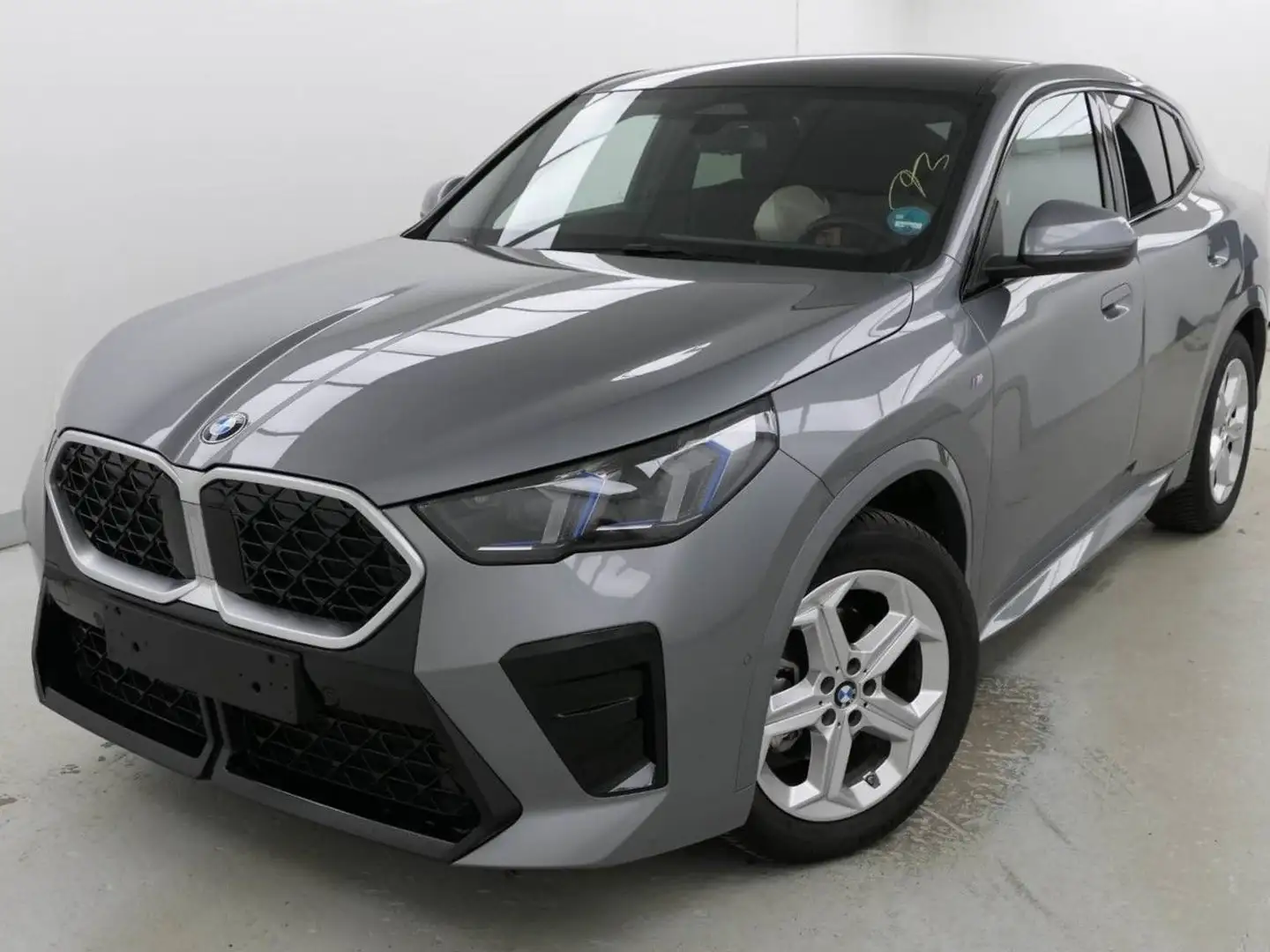 BMW X2 s20d M Sport ACC Kamera PanoD.Live+ Ha/Ka AHK Grau - 2