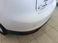 Ford C-Max C-Max 1.6 TDCi 115CV Titanium Blanco - thumbnail 26
