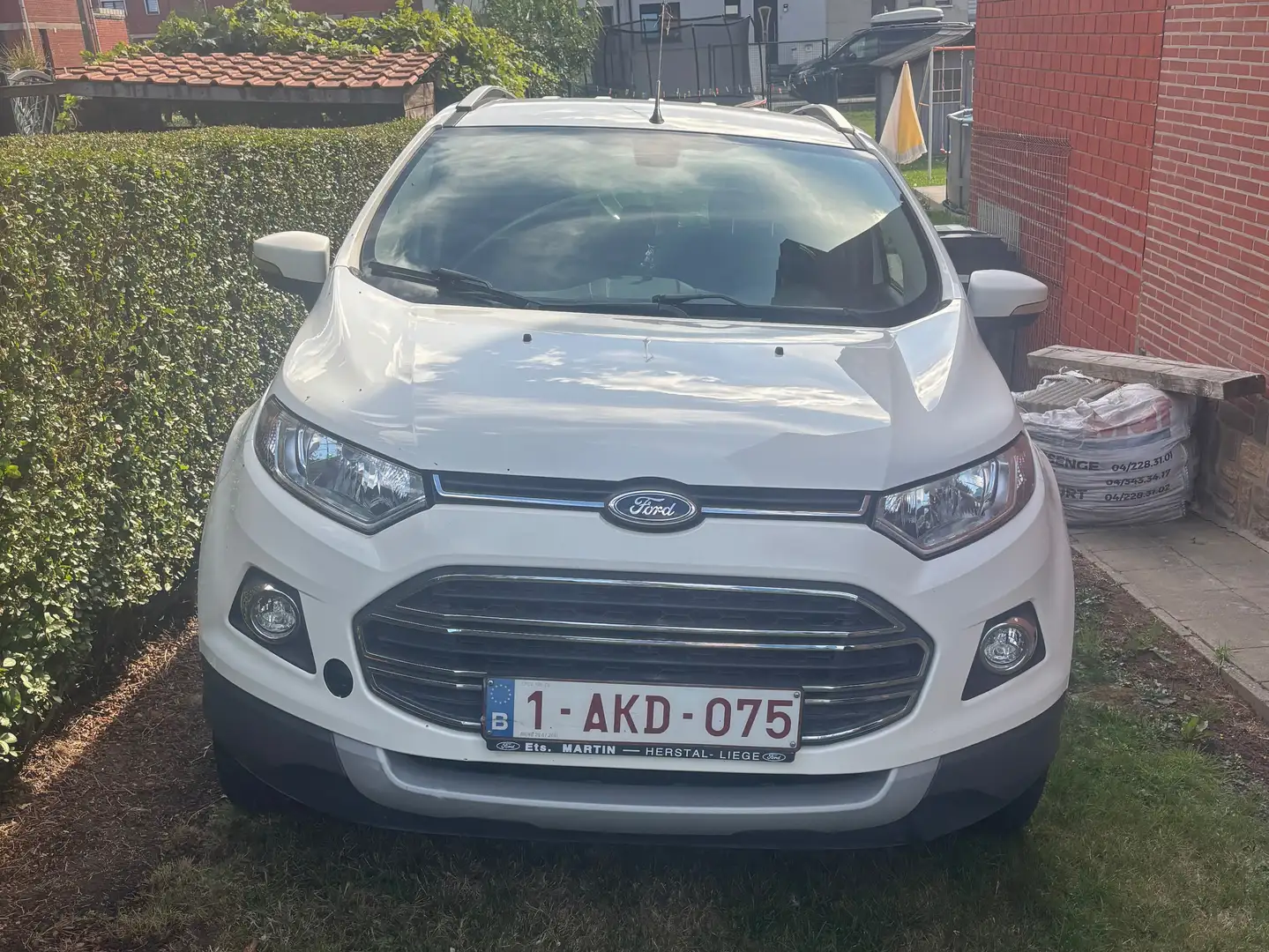 Ford EcoSport Ecosport 1.0 EcoBoost 4x2 Trend Blanc - 2