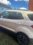 Ford EcoSport Ecosport 1.0 EcoBoost 4x2 Trend Blanc - thumbnail 5