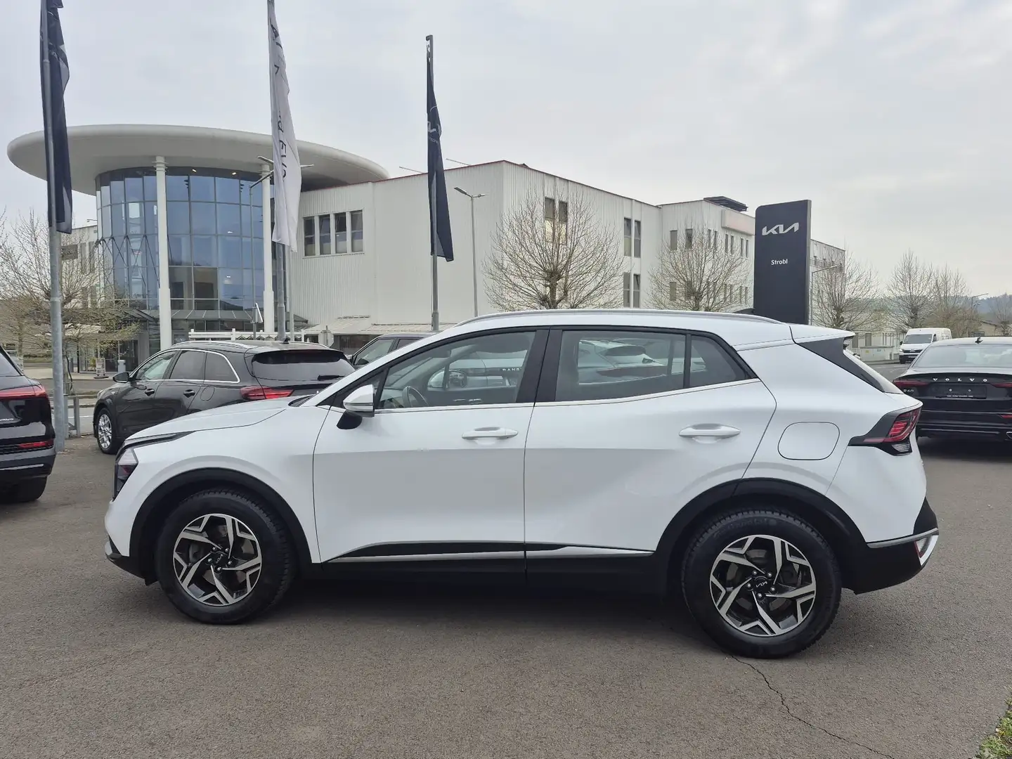 Kia Sportage Kia Sportage 1,6 TGDI Silber Weiß - 2