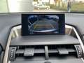 Lexus NX 300h F-Sport KAMERA NAVI ACC HUD LED PANO Bianco - thumbnail 9