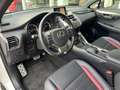 Lexus NX 300h F-Sport KAMERA NAVI ACC HUD LED PANO Bianco - thumbnail 10