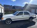 Mercedes-Benz 260 W 124  Oldtimer Bianco - thumbnail 4