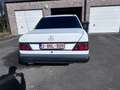 Mercedes-Benz 260 W 124  Oldtimer Bianco - thumbnail 6