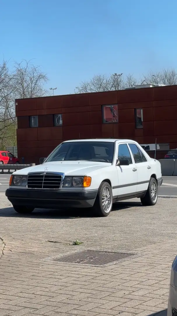 Mercedes-Benz 260 W 124  Oldtimer Bianco - 1
