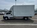 Opel Movano Furg. P.L. 35 L4 Heavy BlueHDi 165 S&S Bianco - thumbnail 2