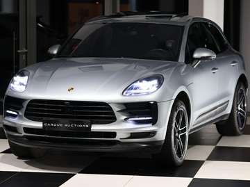 Macan PDK - PASM - PDLS - Pano