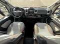 Chausson 727GA Limited edition Wit - thumbnail 32