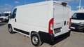 Fiat Ducato 2,3 L1H1 Camper *Netto €15.400,-* Weiß - thumbnail 7