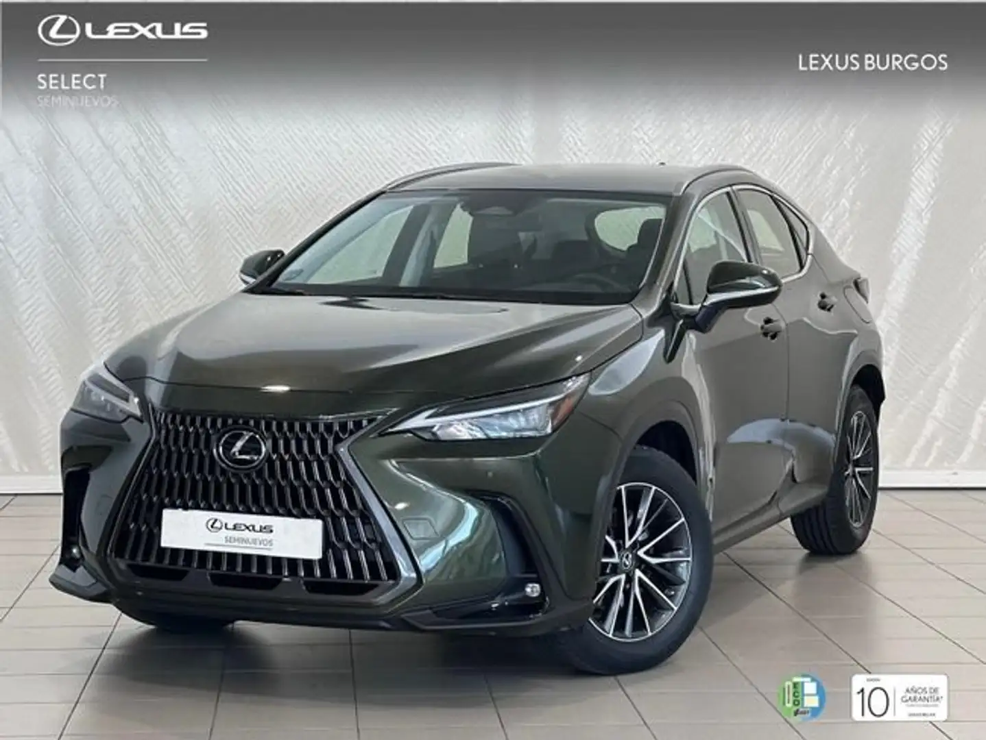 Lexus NX 350h Premium+ 4WD Verde - 1