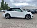 Volkswagen Beetle Cabriolet Design 1.2 TSI Navi Weiß - thumbnail 5