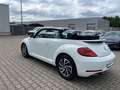 Volkswagen Beetle Cabriolet Design 1.2 TSI Navi Weiß - thumbnail 11