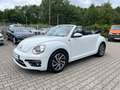 Volkswagen Beetle Cabriolet Design 1.2 TSI Navi Weiß - thumbnail 10
