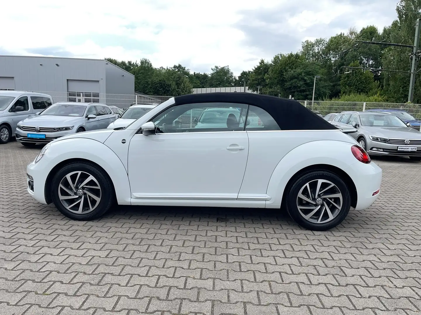 Volkswagen Beetle Cabriolet Design 1.2 TSI Navi Weiß - 2