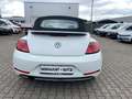 Volkswagen Beetle Cabriolet Design 1.2 TSI Navi Weiß - thumbnail 4