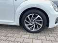 Volkswagen Beetle Cabriolet Design 1.2 TSI Navi Weiß - thumbnail 6