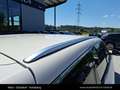 BYD Seal 6 DM-i Touring Boost "Harb Limited Edition" Beige - thumbnail 19